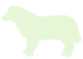 large_dog