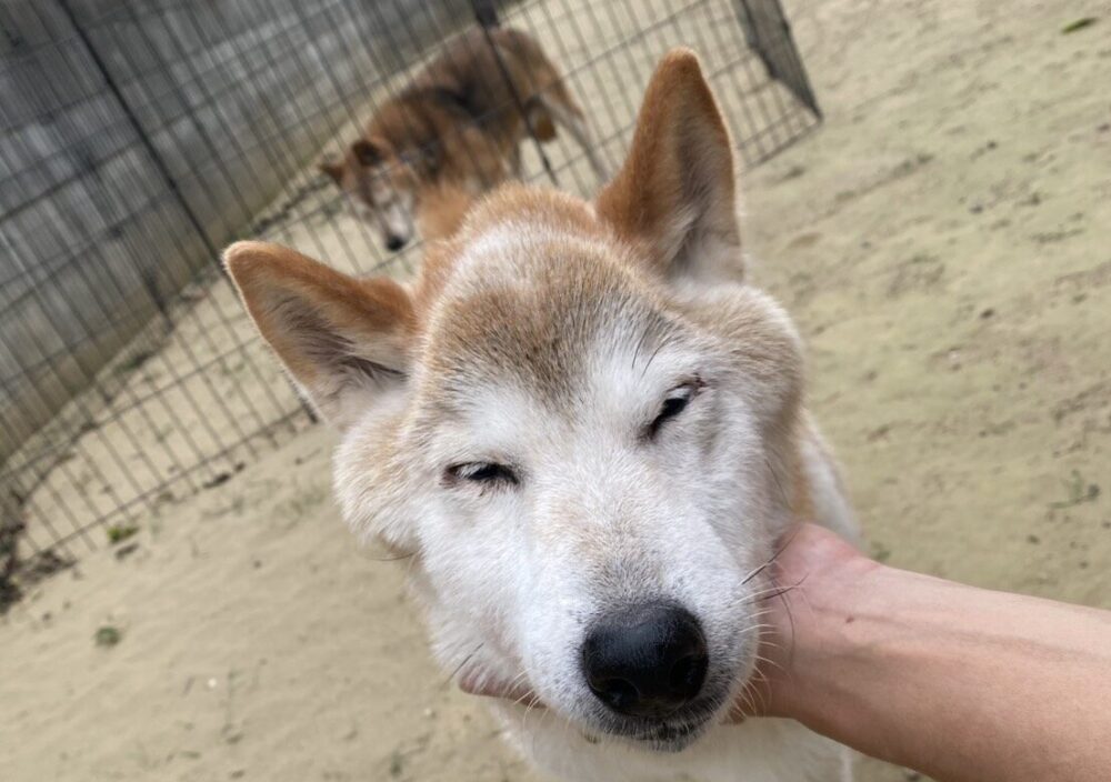 同意書のご記入