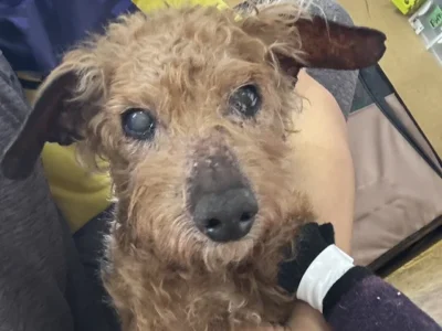 一時預かり・デイケアサービス